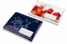 Envelopes de Natal almofadados | PIT Packaging.pt | Envelopesonline