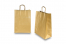 Sacos de papel com alças torcidas - dourado, 260 x 120 x 350 mm, 90 gr | PIT Packaging.pt | Envelopesonline