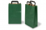 Sacos de papel com alças dobradas - verde, 220 x 105 x 360 mm | PIT Packaging.pt | Envelopesonline