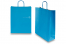 Sacos de papel com alças torcidas - azul, 320 x 120 x 410 mm, 100 gr | PIT Packaging.pt | Envelopesonline