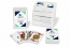 Maço de cartas personalizado internacional - sem impressão de sangramento + caixa de plástico | PIT Packaging.pt | Envelopesonline