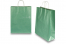Sacos de papel com alças torcidas - verde metalizado, 320 x 120 x 410 mm, 100 gr | PIT Packaging.pt | Envelopesonline