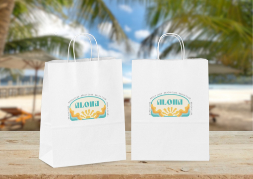 Sacos de papel com alças torcidas | PIT Packaging.pt | Envelopesonline