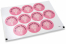 Selos para envelope de comunh&atilde;o - mi primera comuni&oacute;n cruz cor-de-rosa | PIT Packaging.pt | Envelopesonline