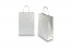 Sacos de papel com alças torcidas - prateado, 220 x 100 x 310 mm, 90 gr | PIT Packaging.pt | Envelopesonline