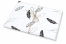 Papel de seda - como papel de embrulho | PIT Packaging.pt | Envelopesonline