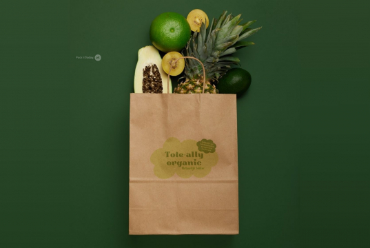 Sacos de papel com alças torcidas | PIT Packaging.pt | Envelopesonline