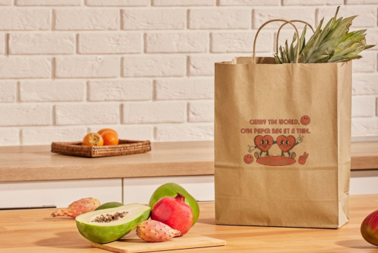 Sacos de papel com alças torcidas | PIT Packaging.pt | Envelopesonline
